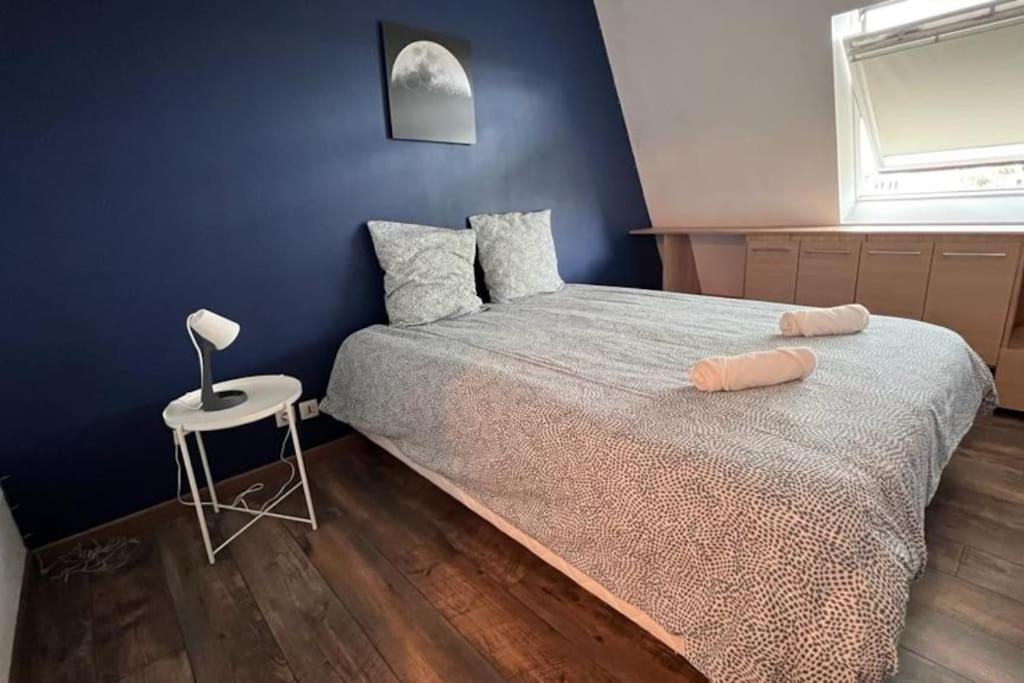 Magnifique Duplex Le Roi Avec Parking
